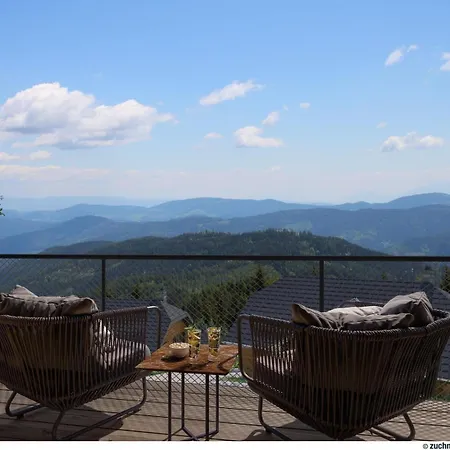 Tomtegl-bergchalet-no-4-mit-privatsauna-infinitypool-kamin-fitnessraum-1500m-seehoehe *